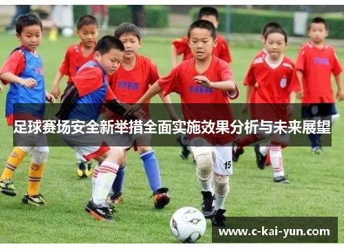 足球赛场安全新举措全面实施效果分析与未来展望