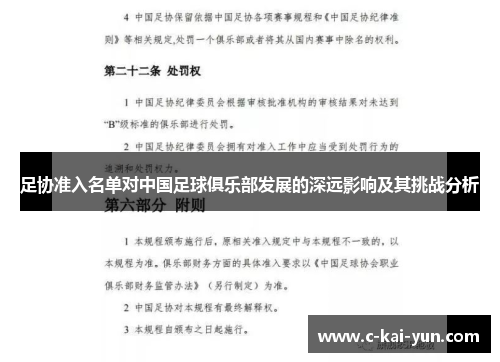 足协准入名单对中国足球俱乐部发展的深远影响及其挑战分析 足协准入名单对中国足球俱乐部发展的深远影响及其挑战分析